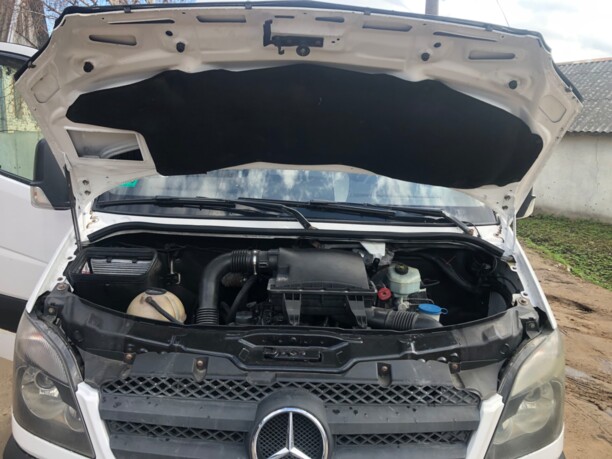 Mercedes-Benz Sprinter 906, 2008 г.