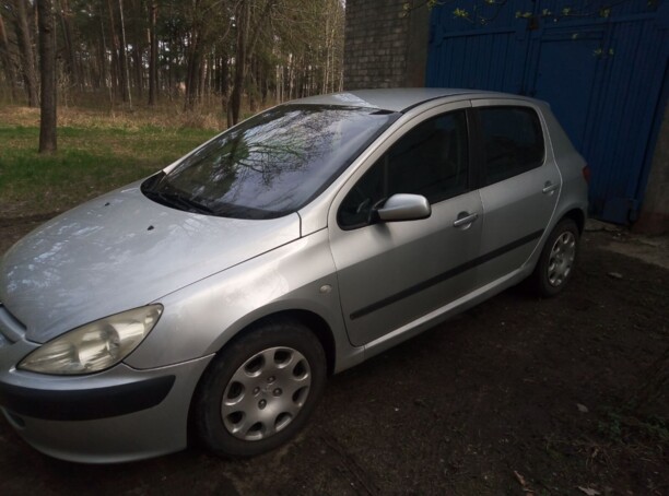 Peugeot 307 I, 2002 г.