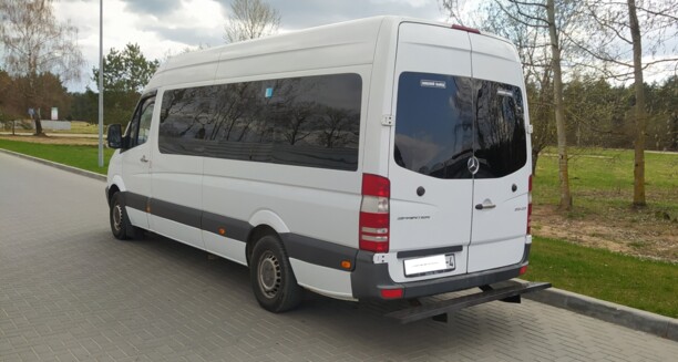 Mercedes-Benz Sprinter 906, 2010 г.