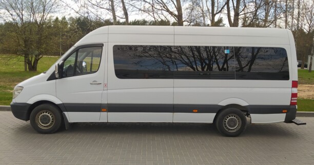Mercedes-Benz Sprinter 906, 2010 г.
