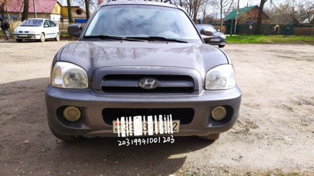 Hyundai Santa Fe SM, 2004 г.