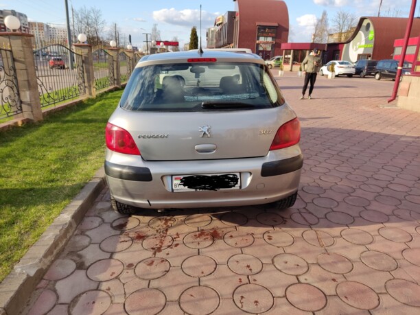 Peugeot 307 I, 2004 г.