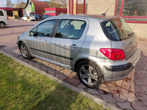 Peugeot 307 I, 2004 г.