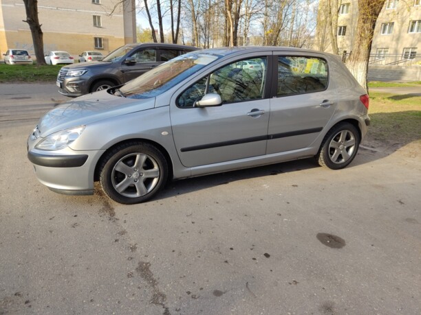 Peugeot 307 I, 2004 г.