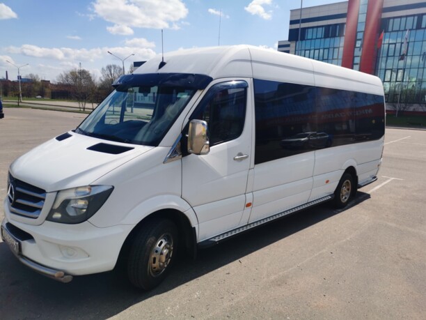 Mercedes-Benz Sprinter 516, 2013 г.