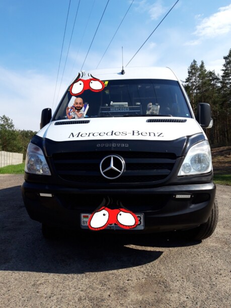 Mercedes-Benz Sprinter, 2009 г.