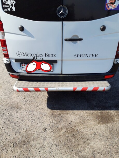 Mercedes-Benz Sprinter, 2009 г.