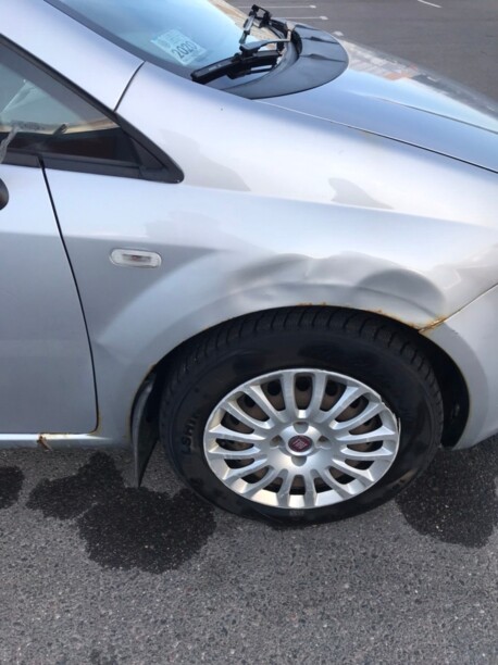 Fiat Grande Punto, 2009 г.