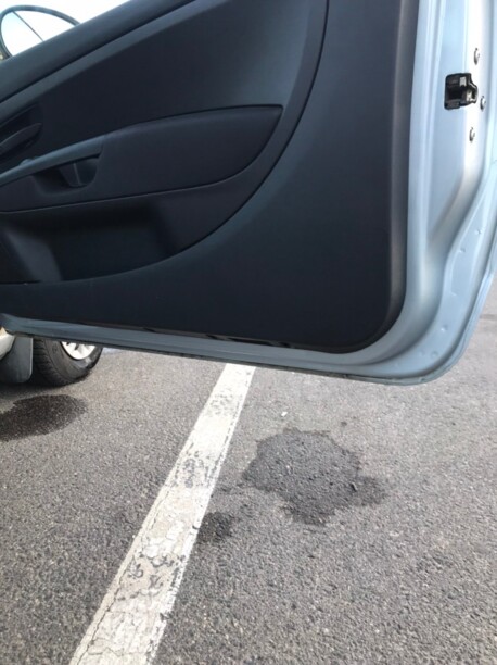 Fiat Grande Punto, 2009 г.