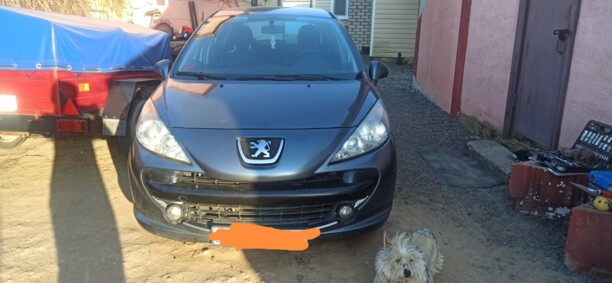 Peugeot 207 I, 2007 г.