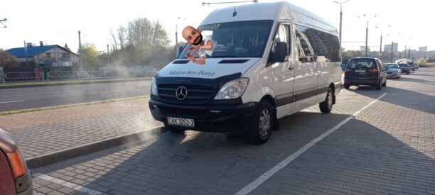 Mercedes-Benz Sprinter, 2009 г.