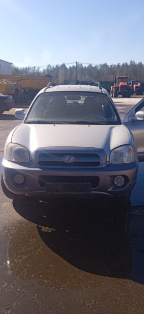 Hyundai Santa Fe SM, 2004 г.