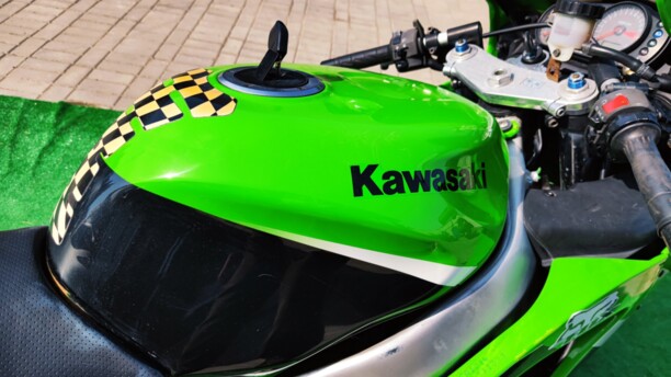Kawasaki ZX, 2004 г.