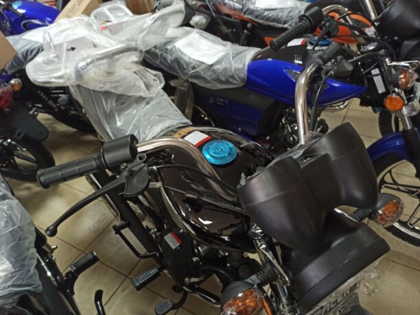 Racer Alpha RC50-F, 2022 г.