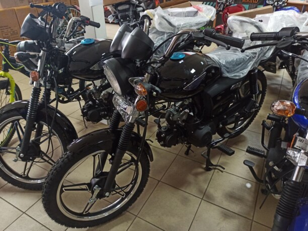 Racer Alpha RC50-F, 2022 г.