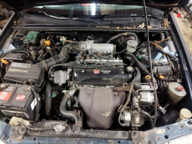 Honda Accord IV, 1991 г.
