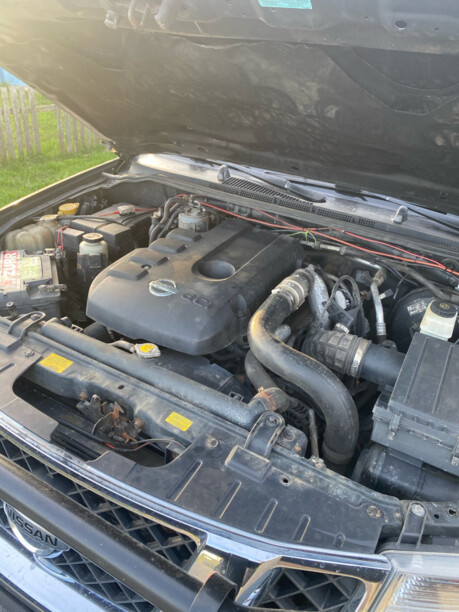 Nissan Navara D40, 2006 г.