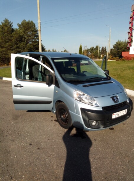 Peugeot Expert II, 2008 г.