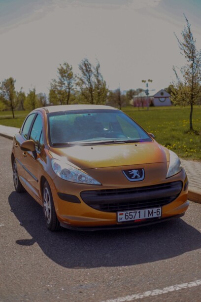 Peugeot 207 I, 2007 г.