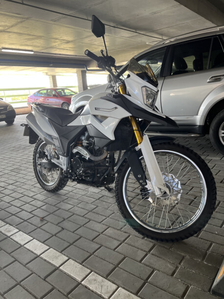 Racer Ranger RC250-GY8A, 2019 г.