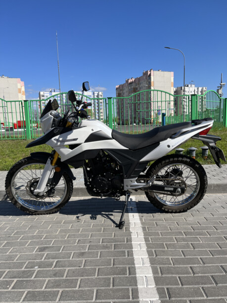 Racer Ranger RC250-GY8A, 2019 г.