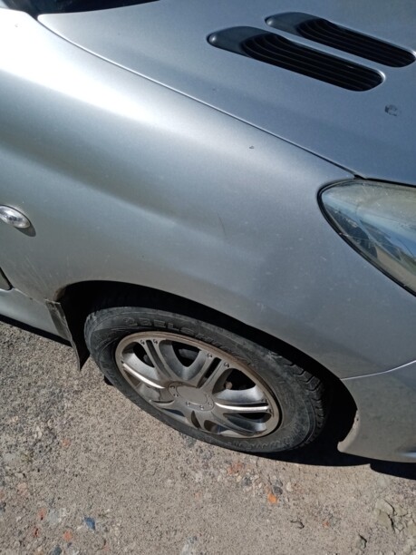 Peugeot 206 Plus, 2010 г.