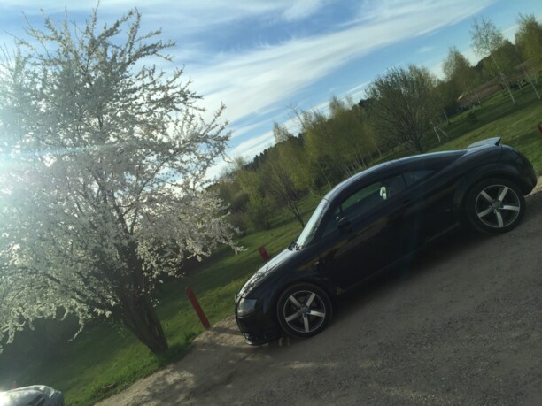 Audi TT 8N · Рестайлинг, 2006 г.