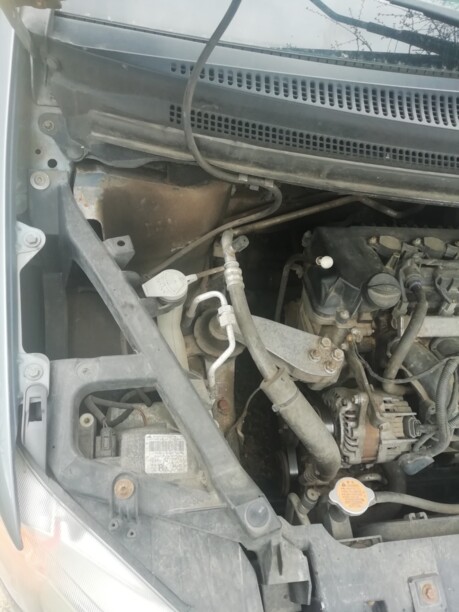 Mitsubishi Colt VI · Рестайлинг, 2009 г.