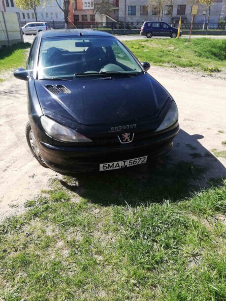 Peugeot 206 I, 2001 г.