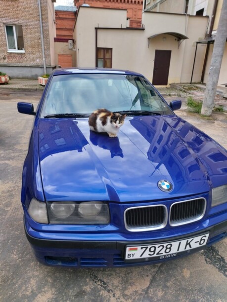 BMW 3 серия E36, 1993 г.