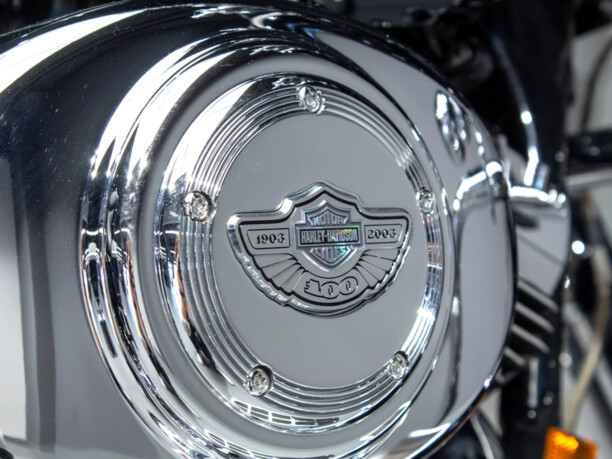 Harley-Davidson Road Glide FLTRI, 2003 г.