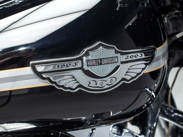 Harley-Davidson Road Glide FLTRI, 2003 г.