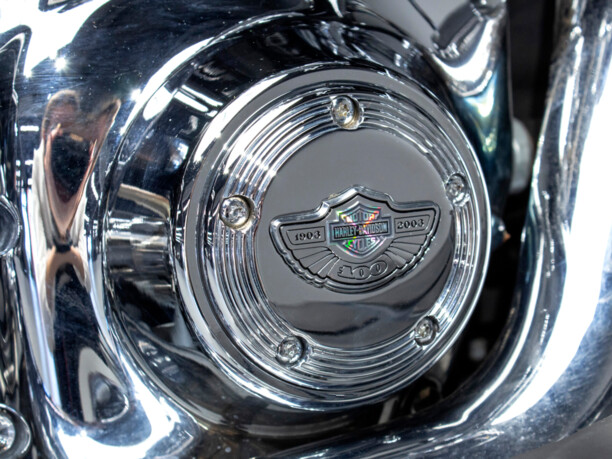 Harley-Davidson Road Glide FLTRI, 2003 г.