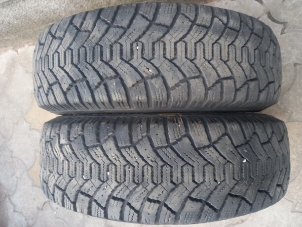 Легковые шины Tunga Nordwey 185/65 R15 2 шт.