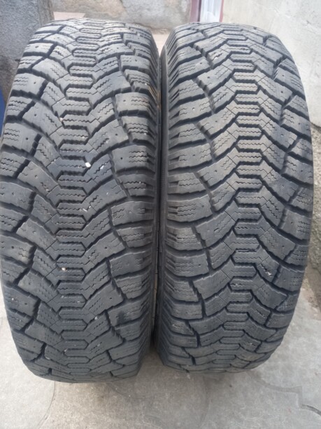 Легковые шины Tunga Nordwey 185/65 R15 2 шт.