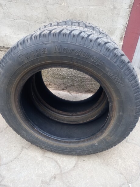 Легковые шины Tunga Nordwey 185/65 R15 2 шт.
