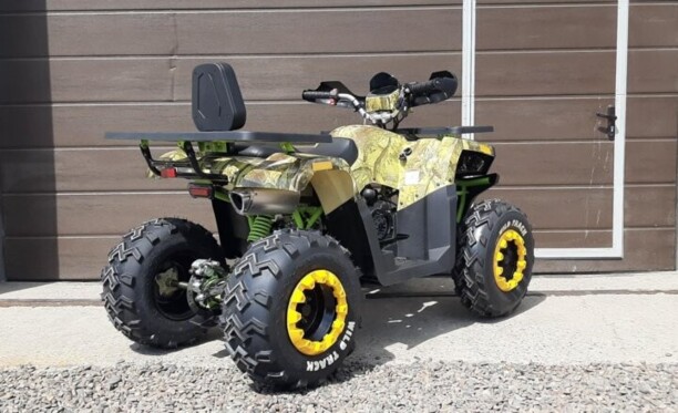 Motoland Wild Trak X, 2022 г.