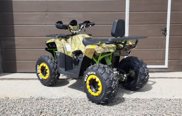 Motoland Wild Trak X, 2022 г.