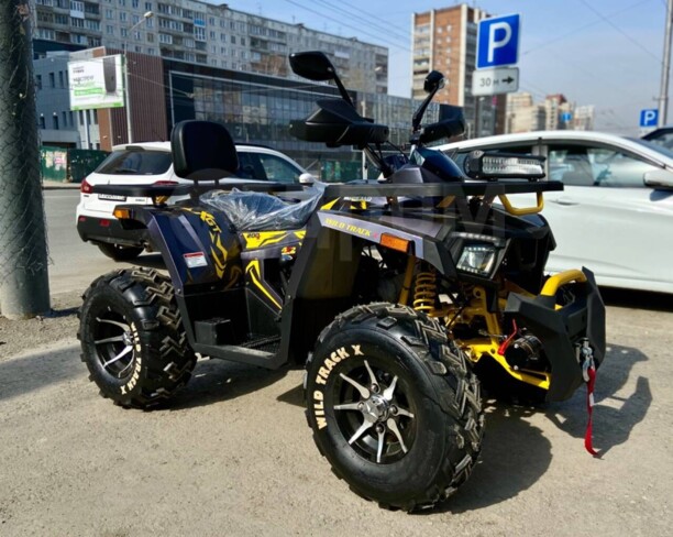 Motoland Wild Trak X pro, 2022 г.