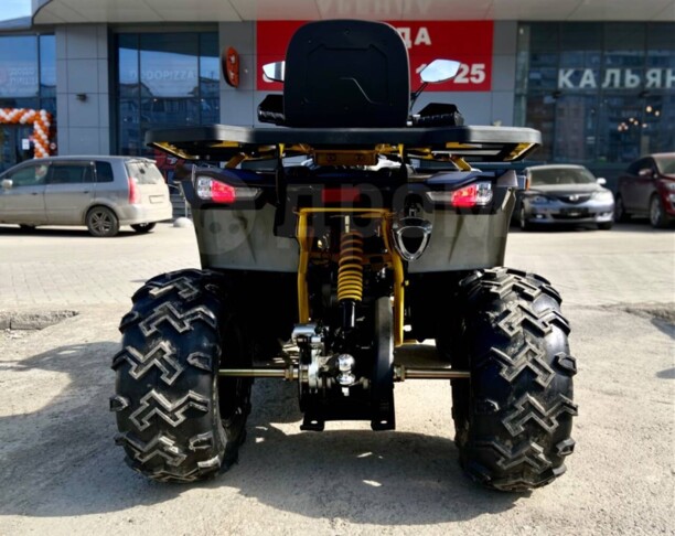 Motoland Wild Trak X pro, 2022 г.