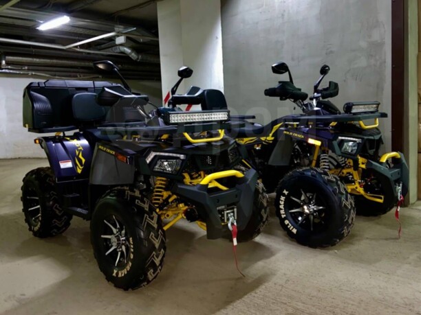 Motoland Wild Trak X PRO LED, 2022 г.