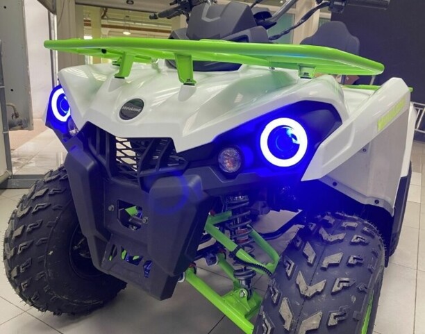 Motoland Wild Trak Shark, 2022 г.