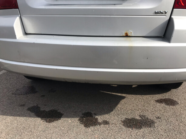 Dodge Caliber I, 2008 г.