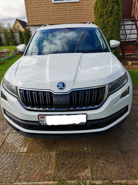 Skoda Kodiaq, 2019 г.