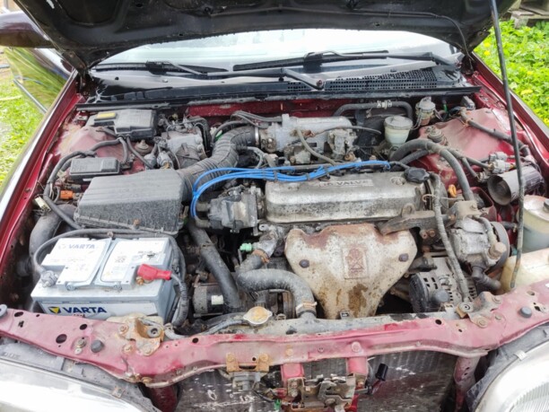 Rover 600, 1996 г.
