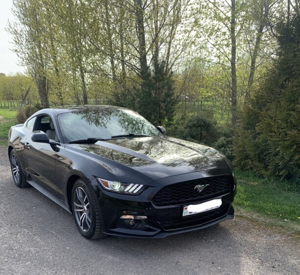 Ford Mustang VI, 2017 г.