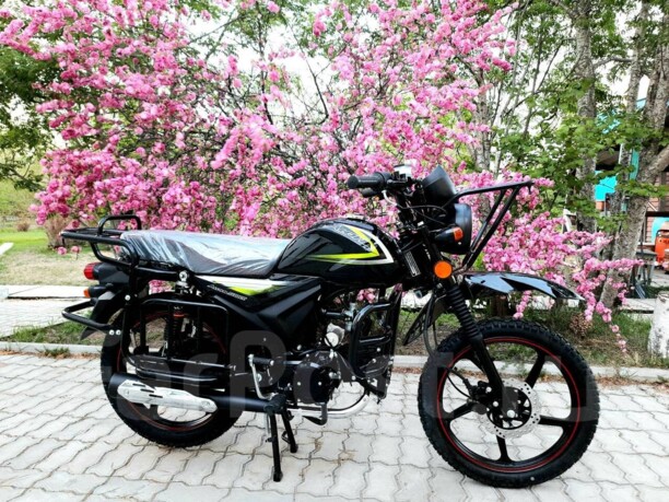 Roliz Ekonika Alpha Tourist Offroad, 2022 г.