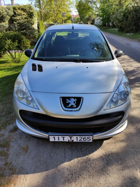 Peugeot 206 Plus, 2010 г.