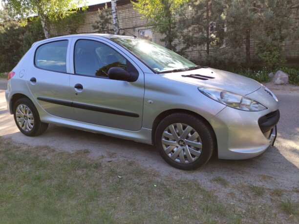 Peugeot 206 Plus, 2010 г.