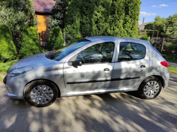 Peugeot 206 Plus, 2010 г.